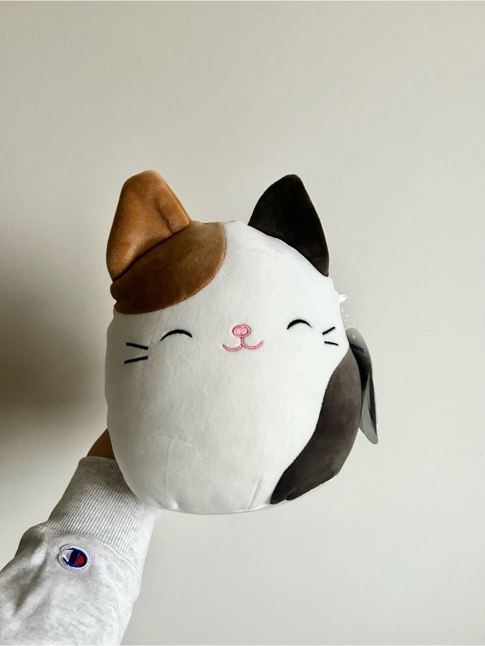 Squishmallows Calico Cat Plush - 8 inches